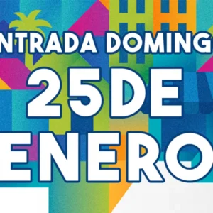 Ticket – 25 de Enero de 2026